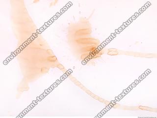 Photo Textures of Paper Stained